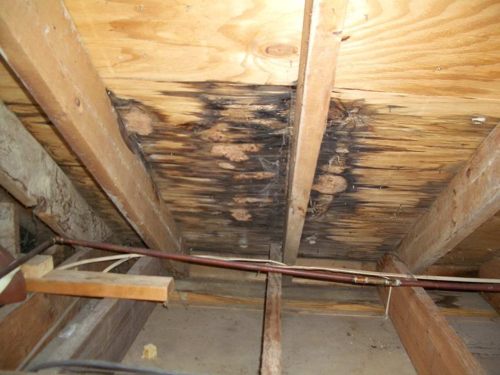 How to Identify the Source of a Roof Leak in Your Home