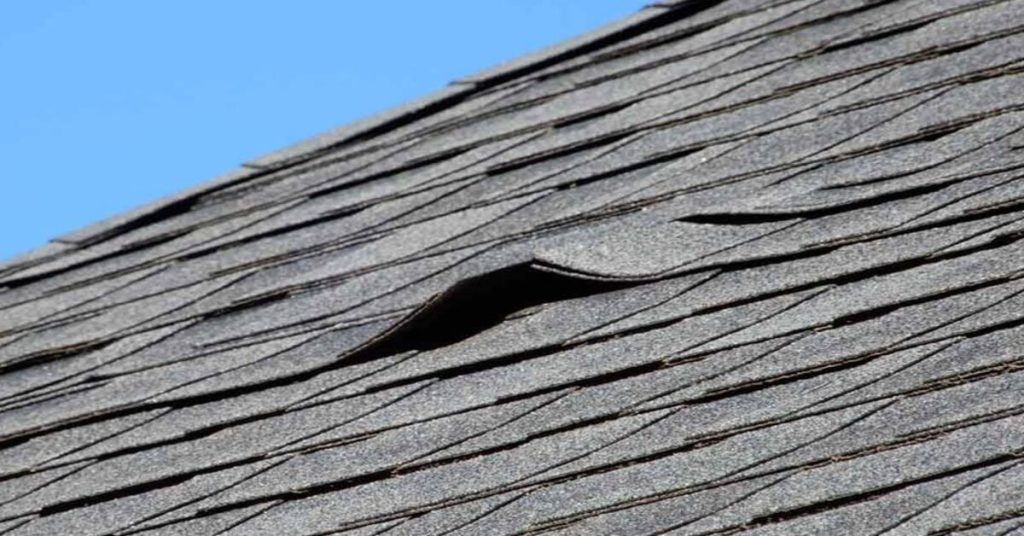 Prevent Roof Leaks Before They Happen: Expert Tips