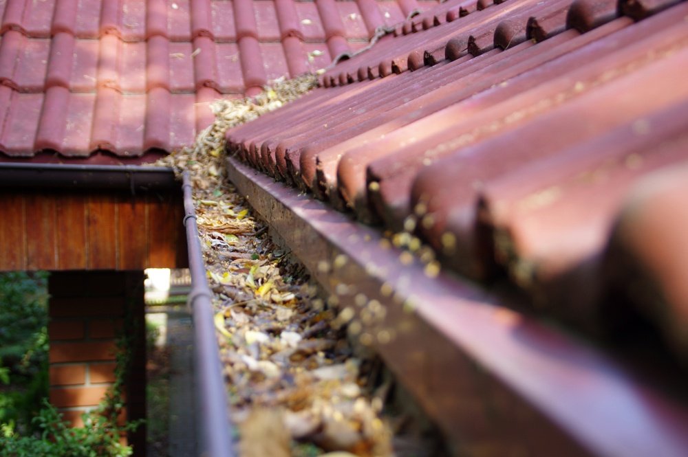 Preventing Blocked Gutters: Tips Every Homeowner Should Know