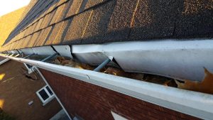 DIY Fascia Repair vs Hiring a Professional: What’s Worth It? DIY Fascia Repair vs Hiring a Professional: What’s Worth It?
