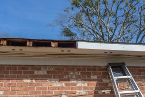 How Often Should Fascia Boards Be Inspected?