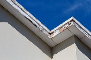 Preventing Fascia Rot: Best Maintenance Practices for Homeowners Preventing Fascia Rot: Best Maintenance Practices for Homeowners